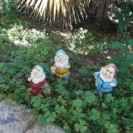 Konukevi & Karmen 3*