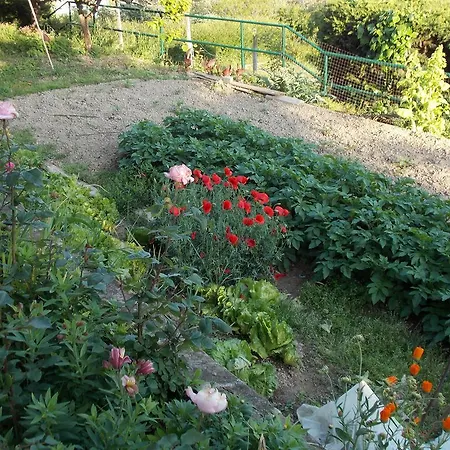 Konukevi & Karmen Portorož