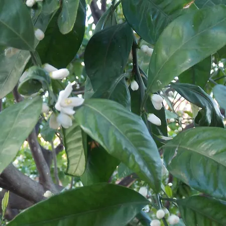 & Karmen Гостевой дом 3*