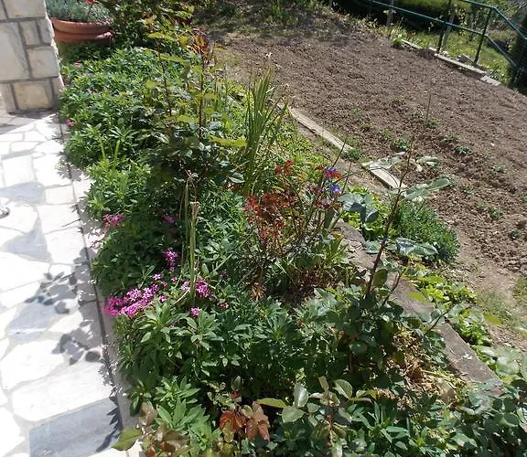 Casa de hóspedes & Karmen 3*