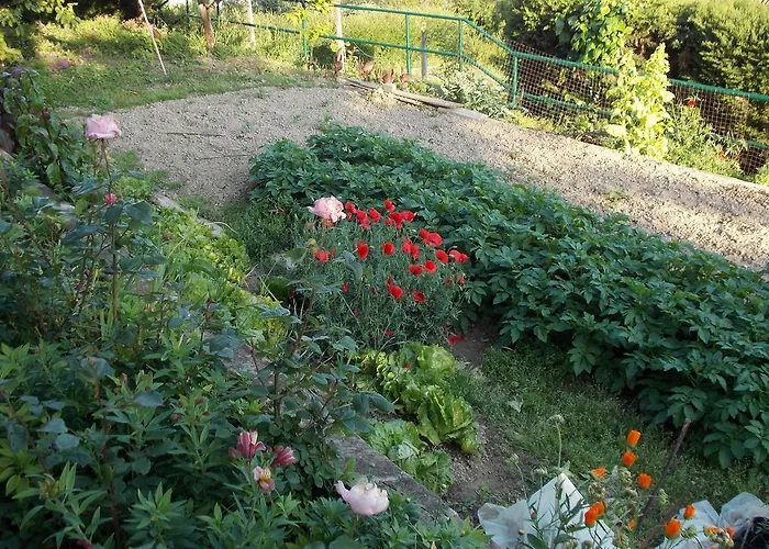 Casa de hóspedes & Karmen Portorož