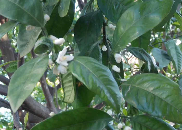 & Karmen Hiša za goste 3*